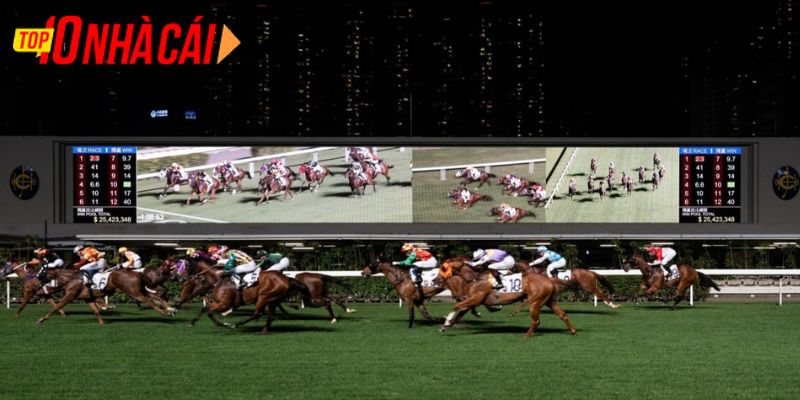 Tuyệt đối không đặt hết tiền cược vào một kèo