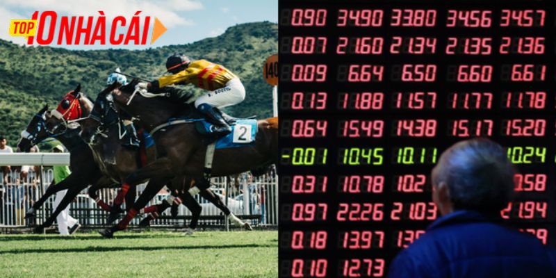 Ưu tiên chọn nhà cái cá cược có Odds tốt