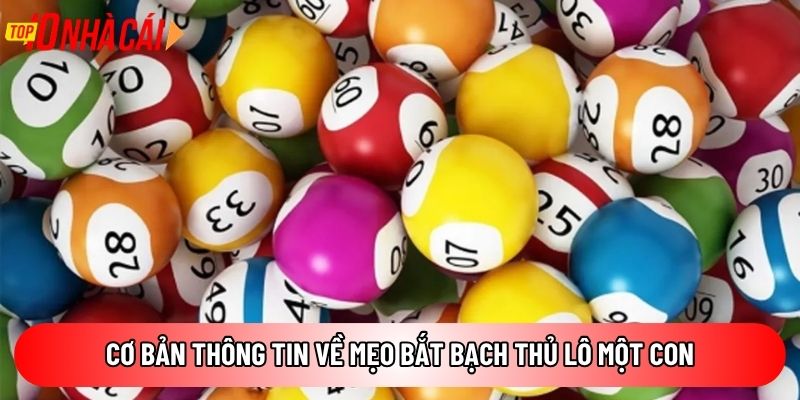 Cơ bản thông tin về mẹo bắt bạch thủ lô một con