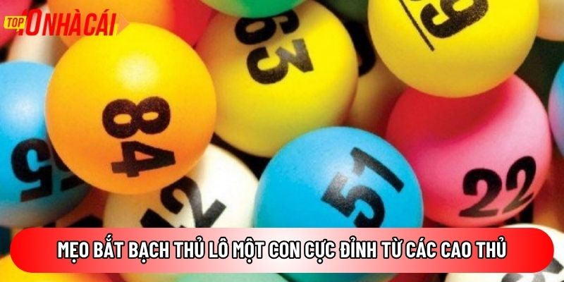 Mẹo bắt bạch thủ lô một con cực đỉnh từ các cao thủ