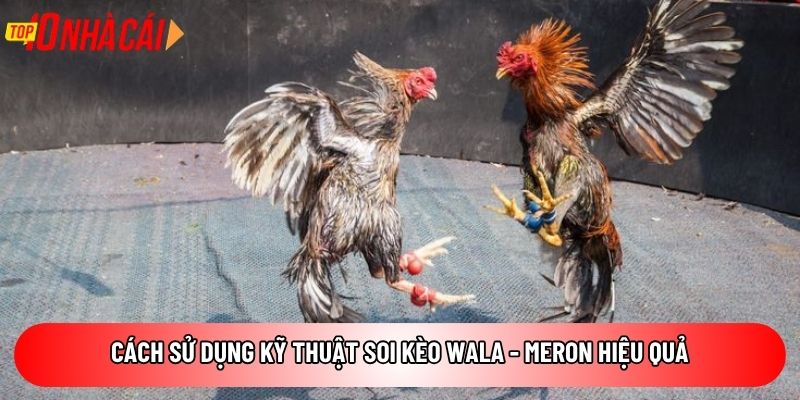 Cách sử dụng kỹ thuật soi kèo Wala - Meron hiệu quả
