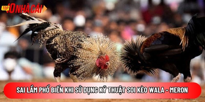 Sai lầm phổ biến khi sử dụng kỹ thuật soi kèo Wala - Meron